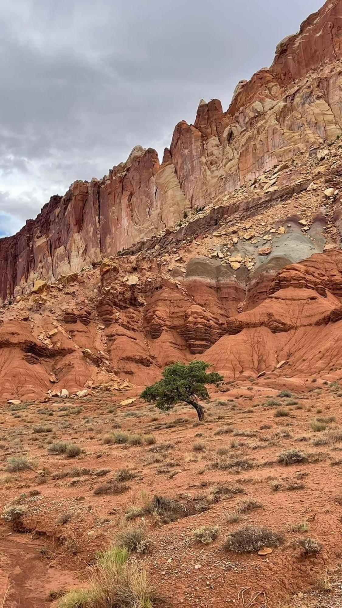 Bryce'S Zion House By Bryce Canyon National Park! Panguitch Bagian luar foto